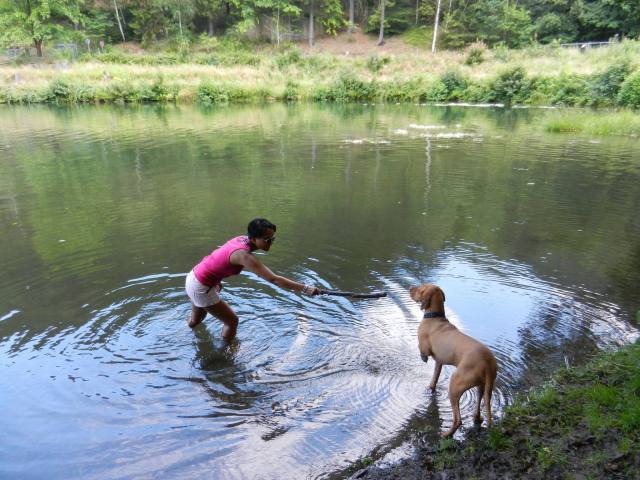 Ben traut sich auch nicht trotz der Überzeugunsarbeit von Frauchen Myrca.