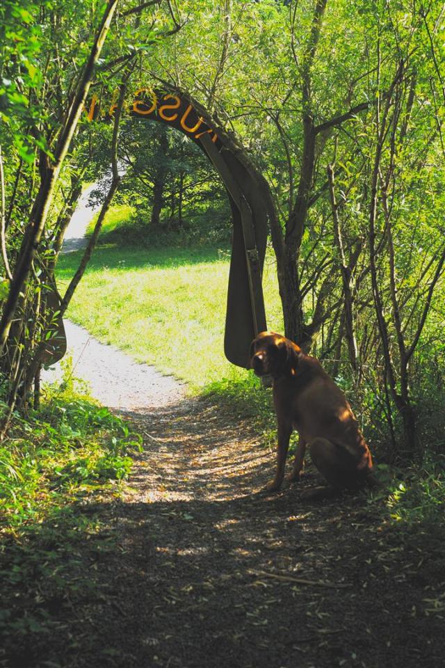 Für die Romantiker unter uns: Warten auf Miss Right!