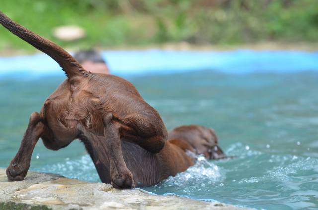 Und schon wieder rein, Oooh, abgerutscht!