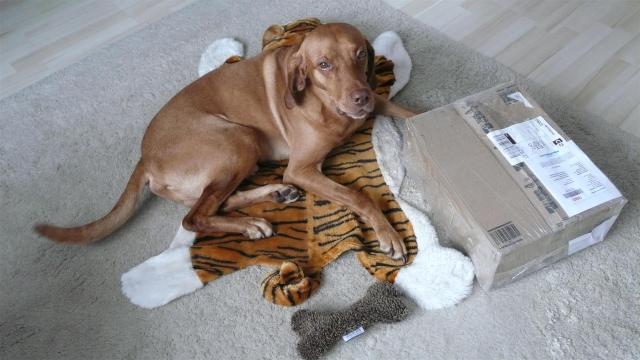 Could not believe it: It was for me!