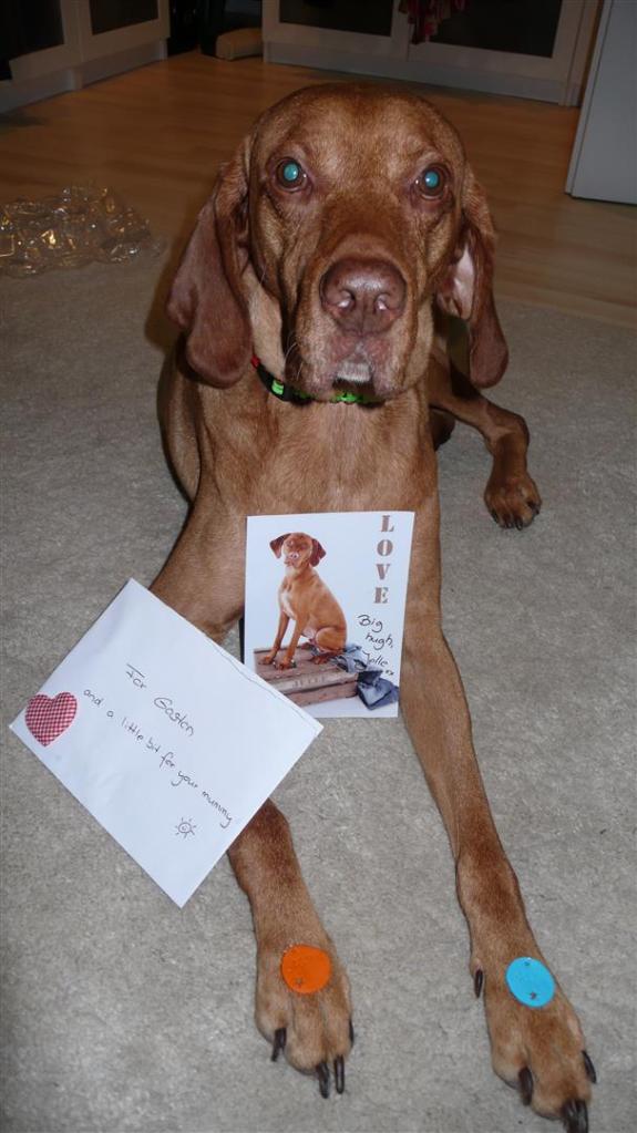 My Dutch friend Jelle and his Mum Anja sent me a present.