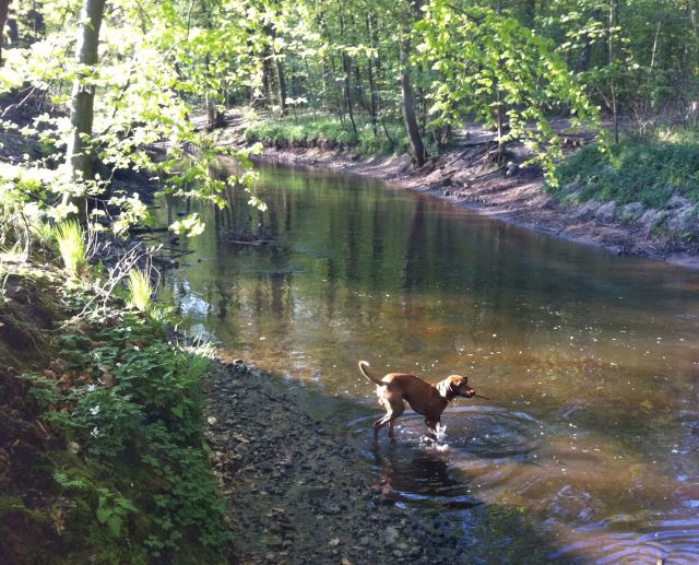 Max traut sich auch nicht so recht!
