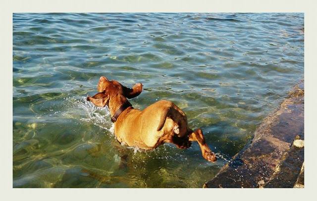 Mina traut sich auch!