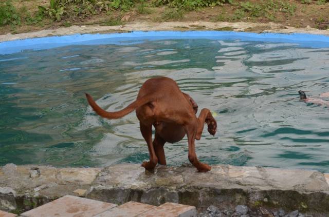 Uihhh, ist das kalt!