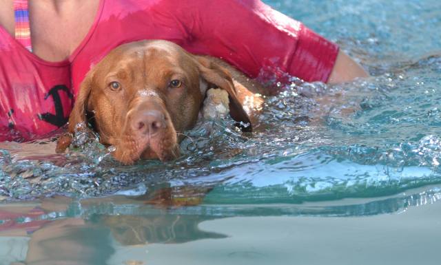 Schon besser! Nasse Küsschen für Frauchen!