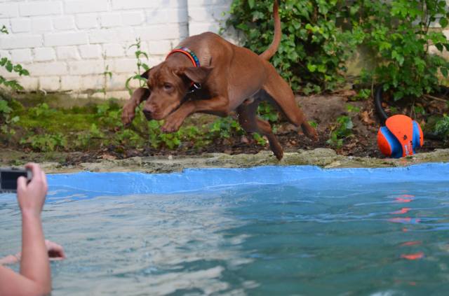 ... um schnell wieder reinzuspringen!