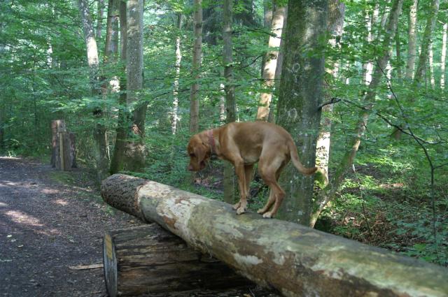 Ist das glitschig hier!