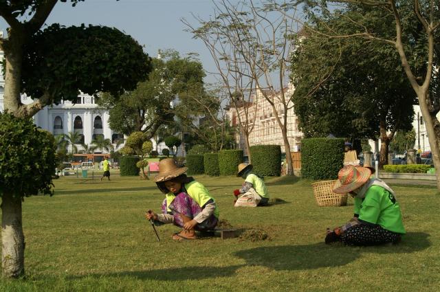 KONICA MINOLTA DIGITAL CAMERA