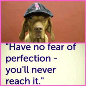 10312362_557861681007325_6244947259597789409_n