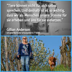 10476067_548790665247760_1193927796981299379_o