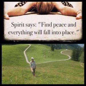 10520818_553195018140658_8913653782151514353_n - Kopie