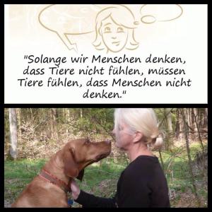 10590549_544209525705874_2626405369056889398_n