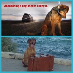 10599657_550635408396619_2389818430932130442_n