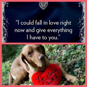 10670039_574555022671324_4147571813406344509_n