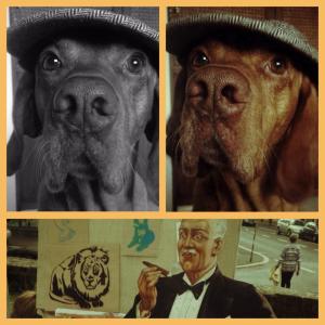 10671443_573578906102269_3538862410103609923_n