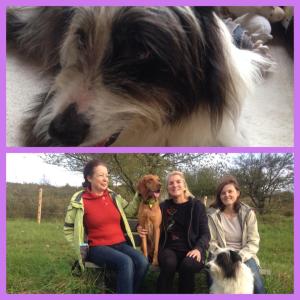 1921895_572769089516584_2961673538751104318_n