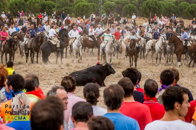 Elegido hatte keine Chance.