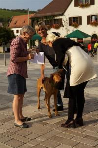 IMG_1549 (Large)