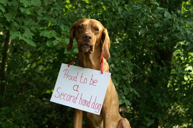 KONICA MINOLTA DIGITAL CAMERA