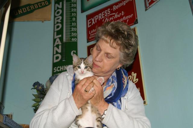 KONICA MINOLTA DIGITAL CAMERA