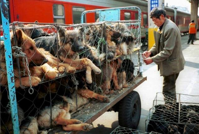 Kein Kommentar. Fotograf unbekannt.