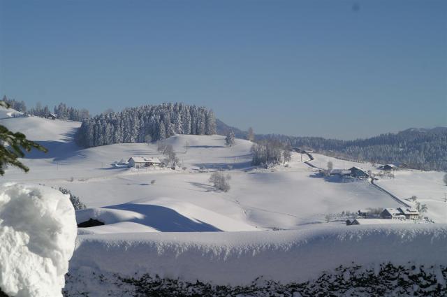 Winter in Oberreute./Enjoying some winter days in Oberreute.