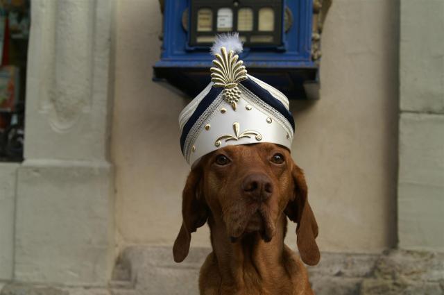 KONICA MINOLTA DIGITAL CAMERA