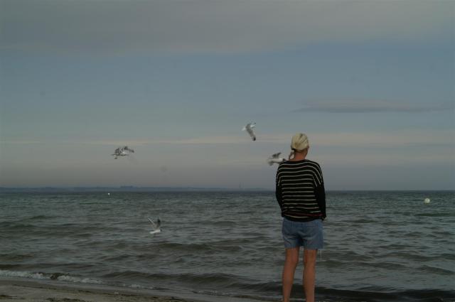 Lübecker Bucht./At the Baltic Sea.