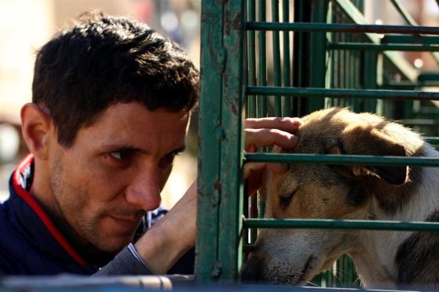 3 Streunerhilfe in Tirana, 2015 (c) VIER PFOTEN (Large)