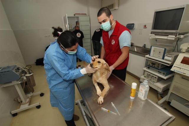 ????????????????????????????????????????????????????????????????????????????????????????????????????????????????????????????????????????????????????????????????????????????????????????????????????????????????????????????????????????????????????????????????????????????????????????????????????????????????????????????????????????????????????????????????????????????????????????????????????????????????????????????????????????????????????????????????????????????????????????????????????????????????????????????????????????????????????????????????????????????????????????????????????????????????????????