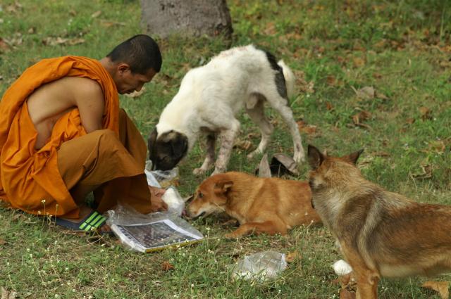 KONICA MINOLTA DIGITAL CAMERA