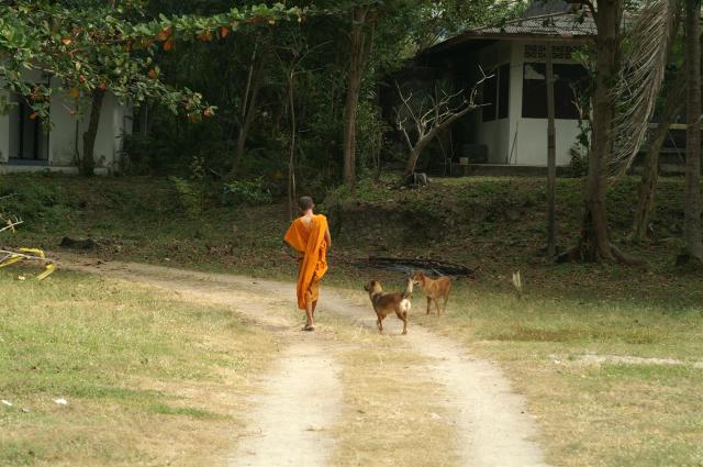 KONICA MINOLTA DIGITAL CAMERA