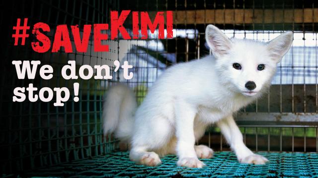 -® FOUR PAWS, Kimikampagnenmotiv (Large)