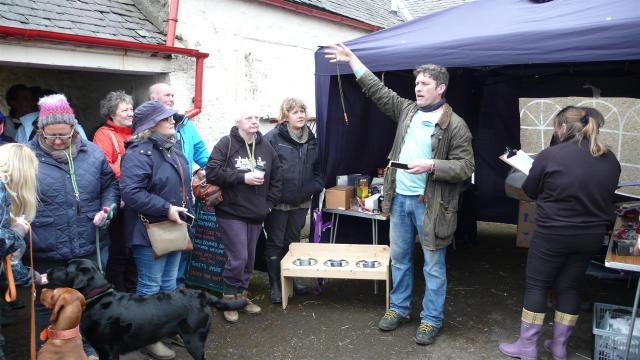 Versteigerung zugunsten des Tierschutzes. Auction for the Vizsla Rescue.