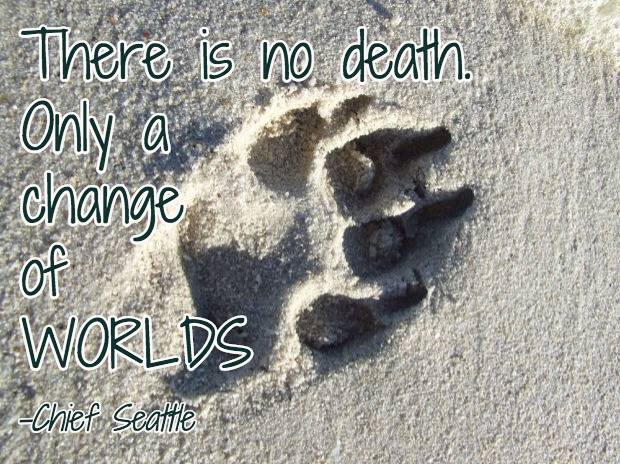 11393239_1657606257806249_2174911752408085261_n