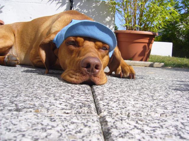 28 Alaska-Tourist 0908 (Large)