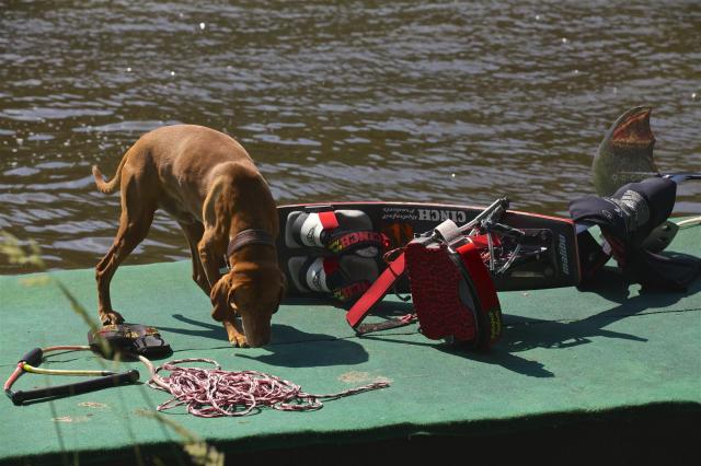 Habe alles im Griff!