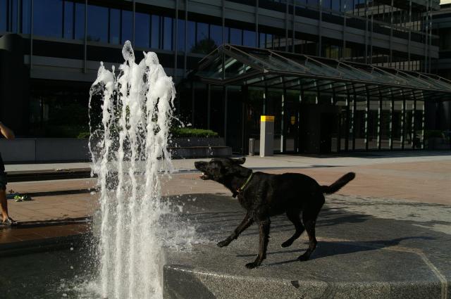 KONICA MINOLTA DIGITAL CAMERA