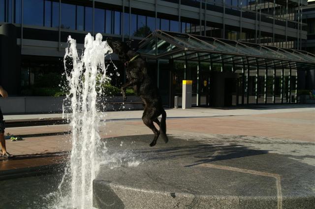 KONICA MINOLTA DIGITAL CAMERA