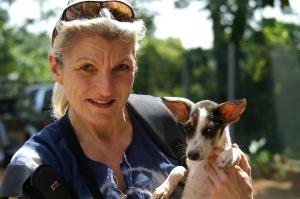 KONICA MINOLTA DIGITAL CAMERA