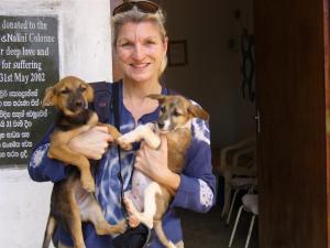 080 Shelter 2 (Large)