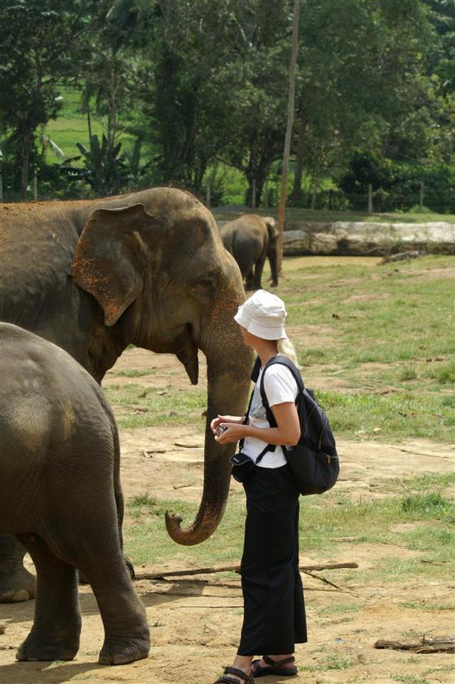 Bei meinem Besuch des Pinnewala-Elefanten-Waisenhauses in Sri Lanka.