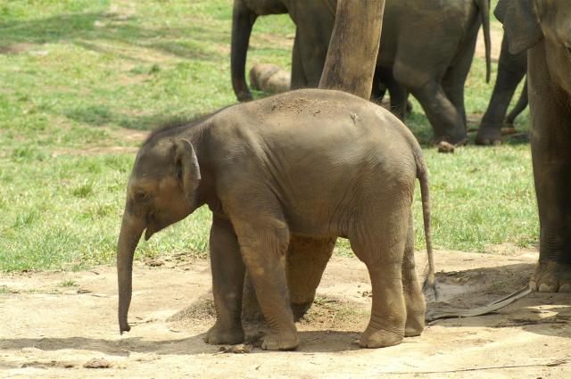 KONICA MINOLTA DIGITAL CAMERA