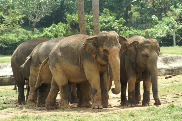 KONICA MINOLTA DIGITAL CAMERA