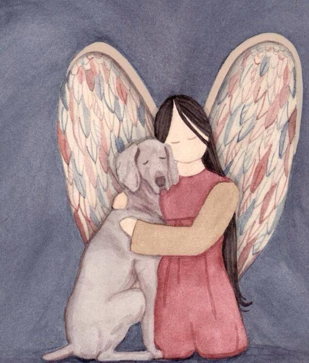 iPhone_2013_2014_2015 784