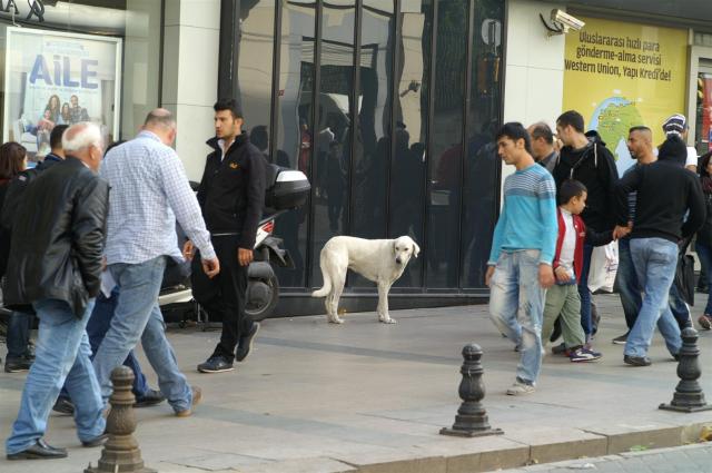 KONICA MINOLTA DIGITAL CAMERA