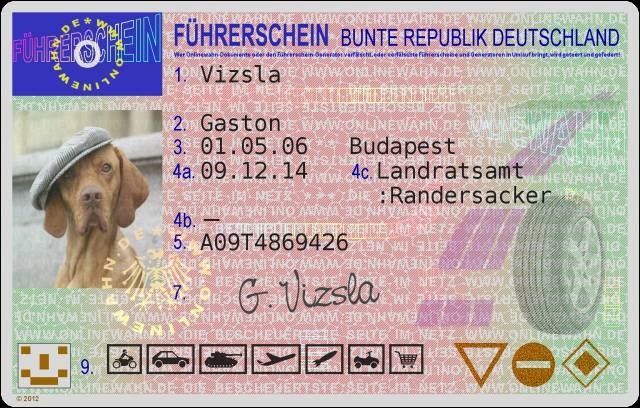 iPhone_2013_2014_2015 813