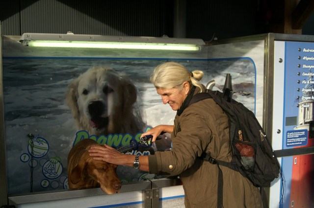 KONICA MINOLTA DIGITAL CAMERA