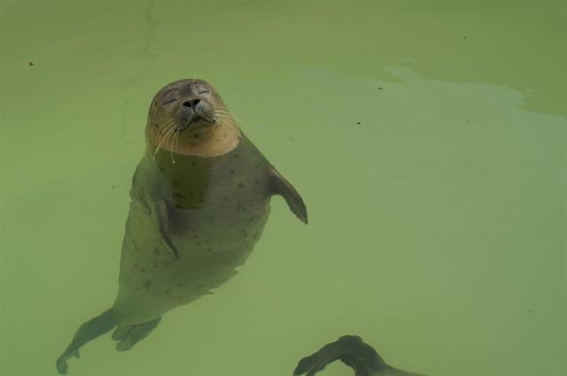 Bitte nicht stören! Ich schlafe!