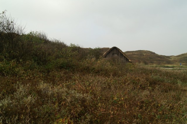 KONICA MINOLTA DIGITAL CAMERA